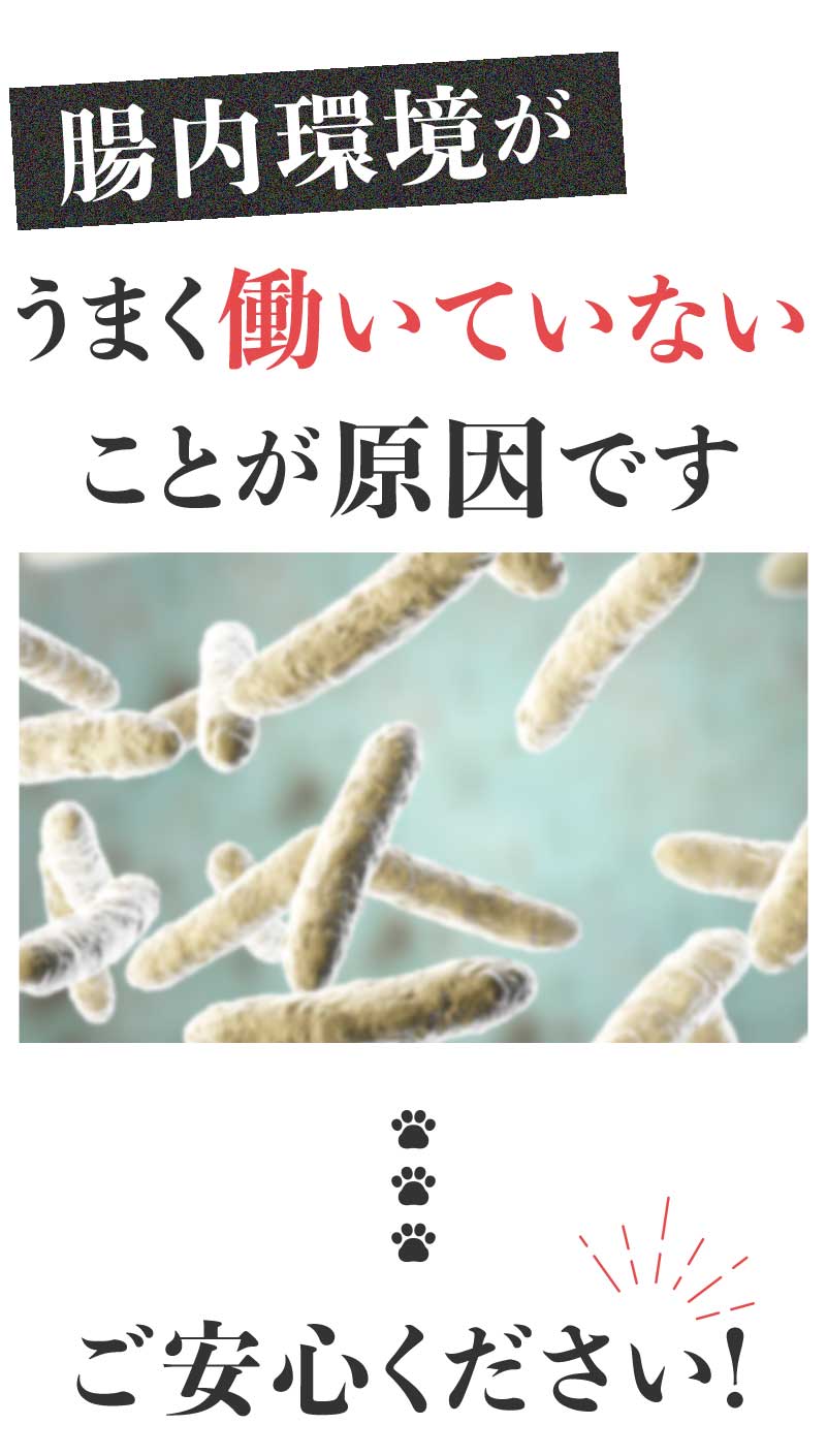 腸内環境がうまく働いていないことが原因です