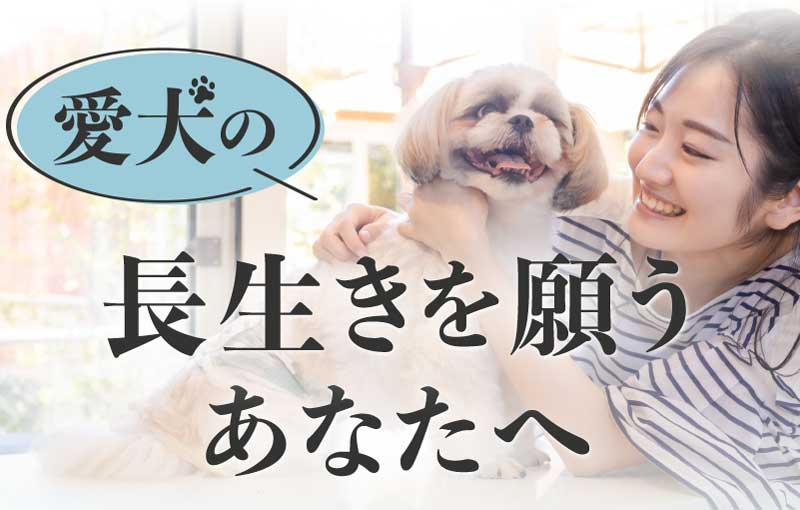 愛犬の長生きを願うあなたへ