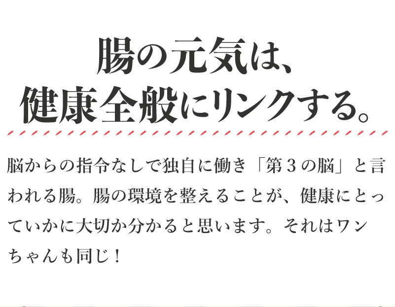 腸の元気は、健康全般にリンクする