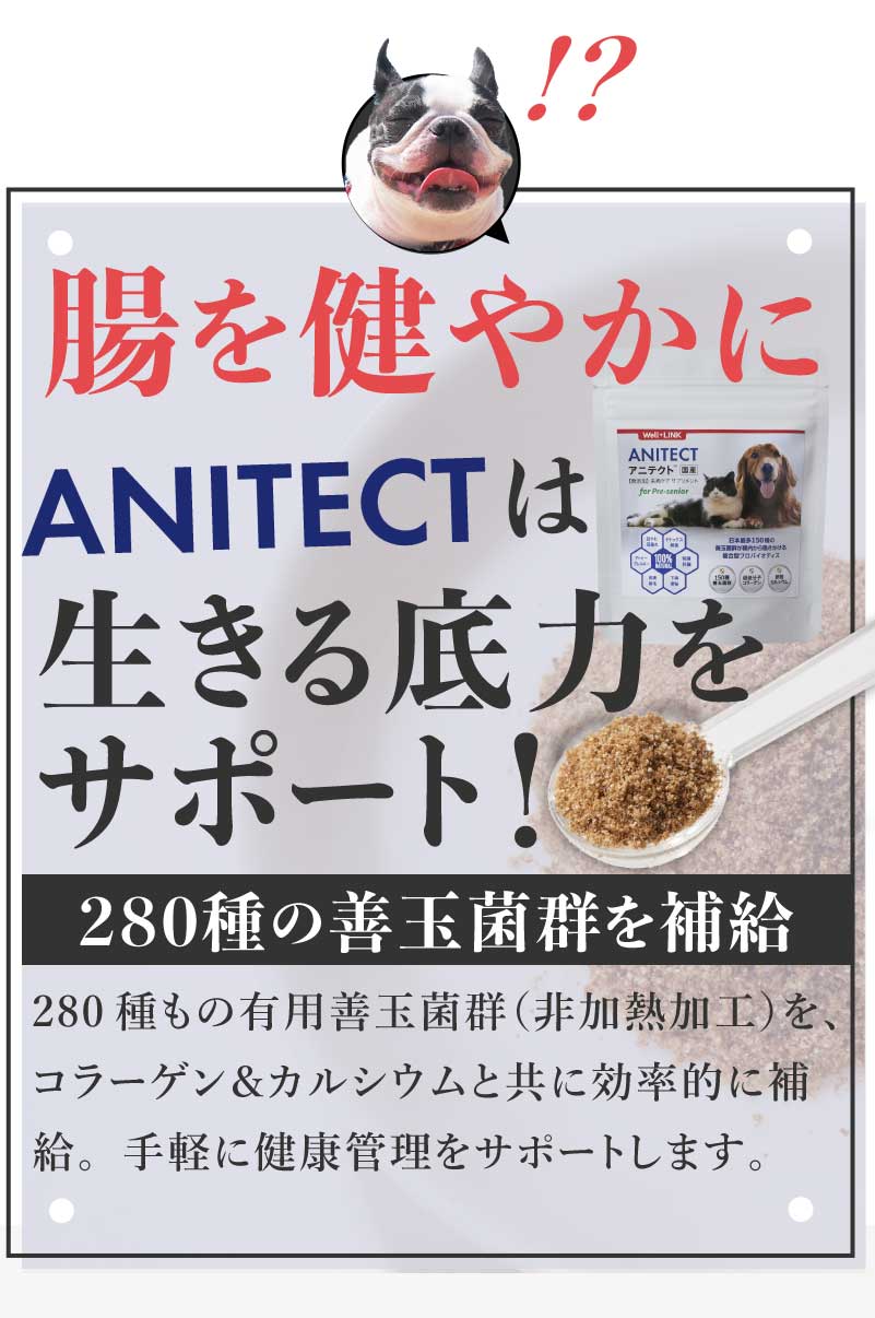 腸を健やかにANITECTは生きる底力をサポート