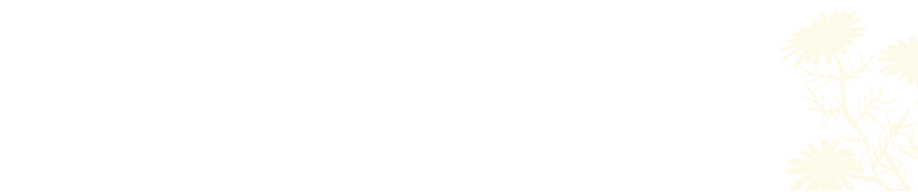 お試しキャンペーン