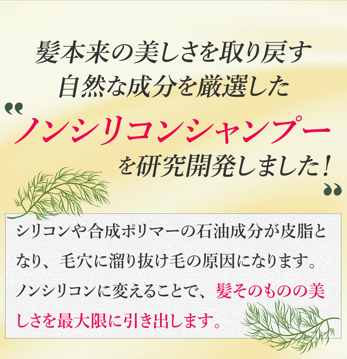 髪本来の美しさを取り戻す自然の成分を厳選したシリコンシャンプーを研究開発しました!